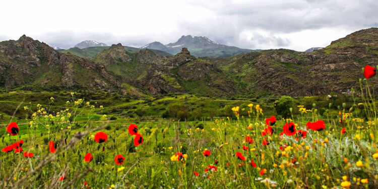 Օղեկապ գոտու թուլացնողն էլ ենք մենք, ձգողն էլ