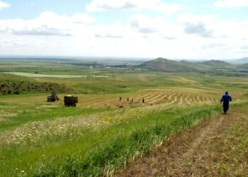 Որքան էլ կարեւոր է պատճառների եւ նպատակների վերհանումը