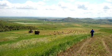 Որքան էլ կարեւոր է պատճառների եւ նպատակների վերհանումը