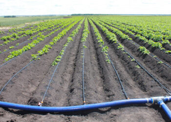 Ներդրում անողները ոռոգման ջրի վարձավճարի փոխհատուցում կստանան