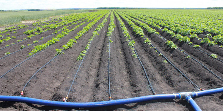 Ներդրում անողները ոռոգման ջրի վարձավճարի փոխհատուցում կստանան