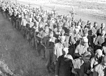 Հում կարիճներ ուտողի ճակատագիրը