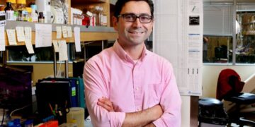 Հայոց հանճարի գենը