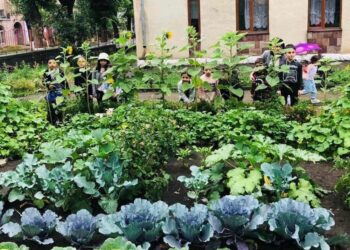 Հաղթող դպրոցի օրինակով