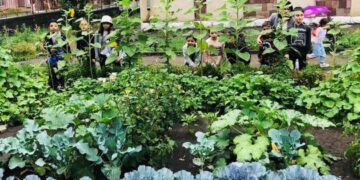 Հաղթող դպրոցի օրինակով