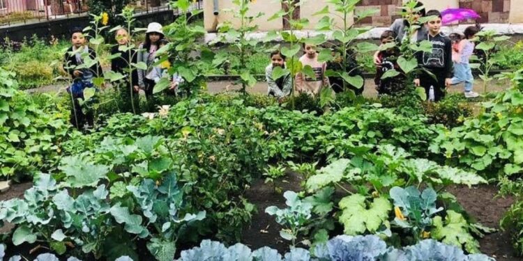 Հաղթող դպրոցի օրինակով