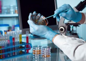 Հայ գիտնականները գյուրզայի խայթոցի դեմ հակաթույն են ստացել