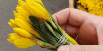 Իրո՞ք ուզում ենք պաշտպանել մեր բնաշխարհը