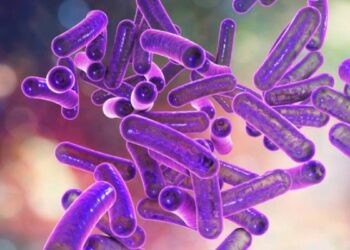 ԳԱԱ-ում նախագծվել են շիգելոզի դեմ արդյունավետ պատրաստուկներ