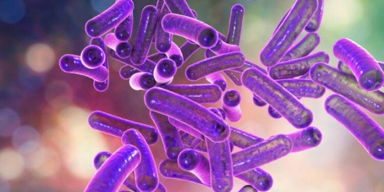 ԳԱԱ-ում նախագծվել են շիգելոզի դեմ արդյունավետ պատրաստուկներ