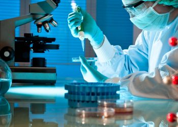 Բացահայտված միացությունները՝ նոր հակաբիոտիկ դեղեր