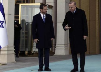 Ի՞նչ է փնտրում Հերցոգն Անկարայում