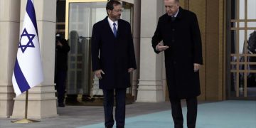 Ի՞նչ է փնտրում Հերցոգն Անկարայում