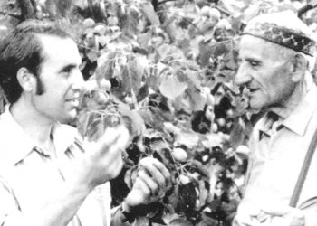 Վախթանգ Անանյանի «կանաչ տիրույթում»