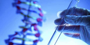 Հետազոտությունը ներառել է ԴՆԹ նմուշներ