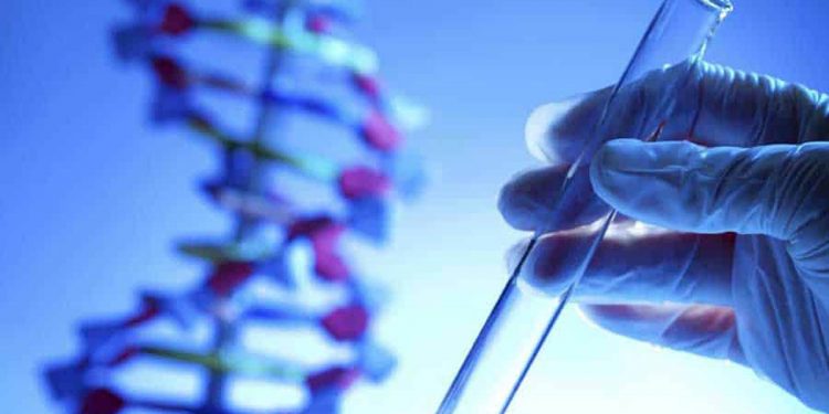 Հետազոտությունը ներառել է ԴՆԹ նմուշներ