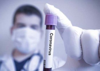 Ինչ է ցույց տվել մոլեկուլագենետիկական դիտարկումը