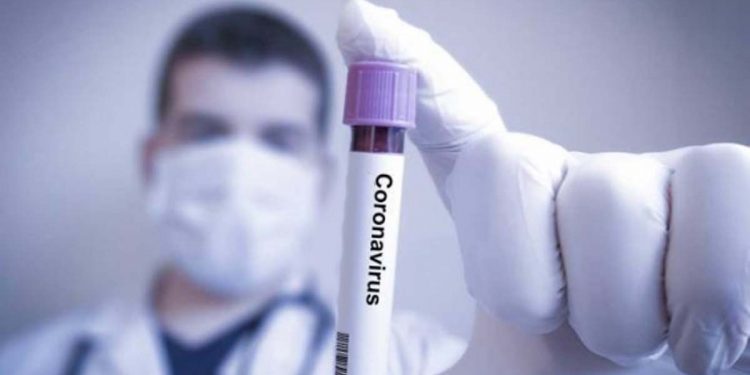 Ինչ է ցույց տվել մոլեկուլագենետիկական դիտարկումը