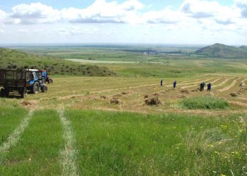Գյուղոլորտում հապաղումներն անթույլատրելի են