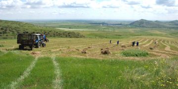 Գյուղոլորտում հապաղումներն անթույլատրելի են