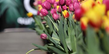 Կրկին գարնան, կանանց եւ սիրո մասին