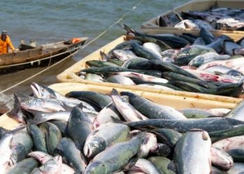 Սեւանա լիճը միայն սոցիալական նշանակության չէ