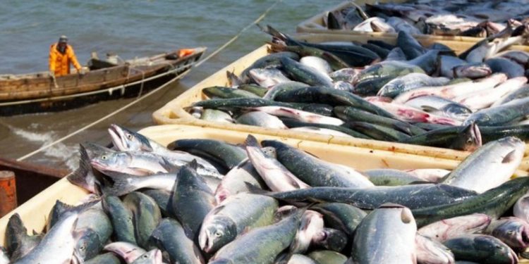 Սեւանա լիճը միայն սոցիալական նշանակության չէ