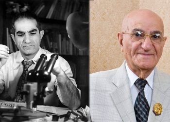 Իսկ աղավնին կուլ տվեց Այվազովսկու «Իններորդ ալիքը»…