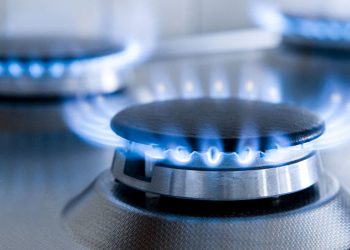 Գազին այլընտրա՞նք փնտրել, թե՞ պարենային ապահովության հարց լուծել