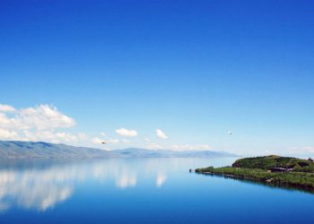 Ինչպես խուսափել հավելյալ ջրառից