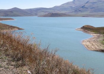 Շղթայական ճիշտ կառավարումը խնդիրների շղթայական լուծմանն էլ կհանգեցնի