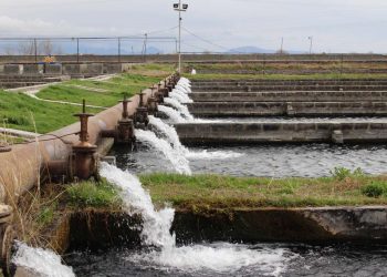 Ջրի խնդիրը համալիր, շղթայական եւ ոչ տեղային լուծում է պահանջում