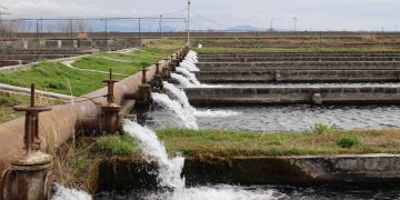 Ջրի խնդիրը համալիր, շղթայական եւ ոչ տեղային լուծում է պահանջում