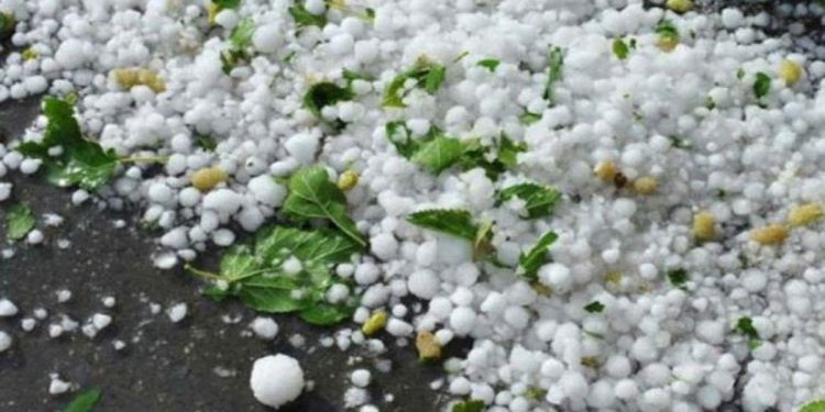 Տեղացած առատ կարկուտը մեծ վնաս է պատճառել