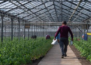 Ընդլայնելով օրգանական պարարտանյութերի գործածումը