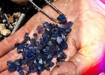 Պետությունն ու մասնավորը՝ ձեռք ձեռքի