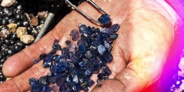 Պետությունն ու մասնավորը՝ ձեռք ձեռքի