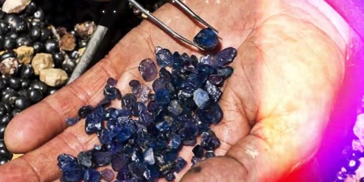 Պետությունն ու մասնավորը՝ ձեռք ձեռքի