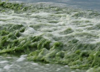 Սեւանա լիճը բնատարածքային ամբողջական համալիր է