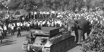 Վովա փղի ոդիսականն ու ճակատագիրը