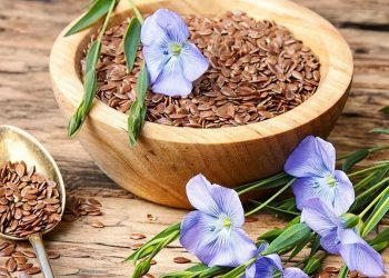 Հողը հորդորելով չեն մշակում