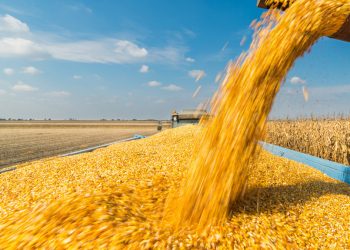 Ե՛ւ հնարավորությունն ունենք, ե՛ւ ներուժը