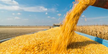 Ե՛ւ հնարավորությունն ունենք, ե՛ւ ներուժը