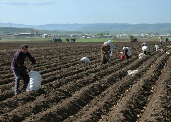 Գյուղացուն օգնելը պետության գործը պետք է լինի