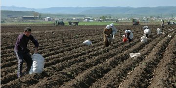 Գյուղացուն օգնելը պետության գործը պետք է լինի