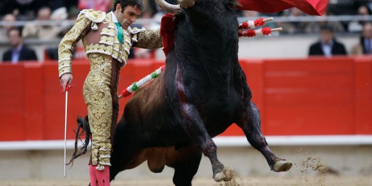 Խուսանավե՞լ, թե՞ խոյահարել