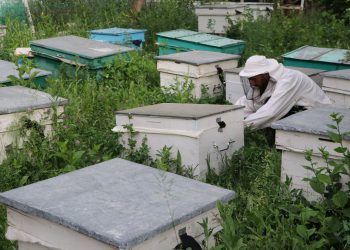 Մեղրի արցախյան բրենդն ընդլայնում է դիրքերը…