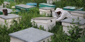 Մեղրի արցախյան բրենդն ընդլայնում է դիրքերը…