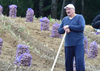 Անտեղի… լավություն