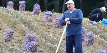 Անտեղի… լավություն